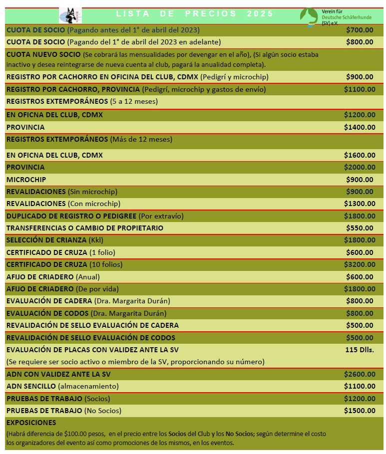 Lista de Precios 2025