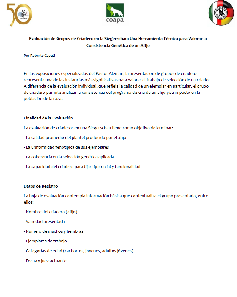 Evaluacion de grupos